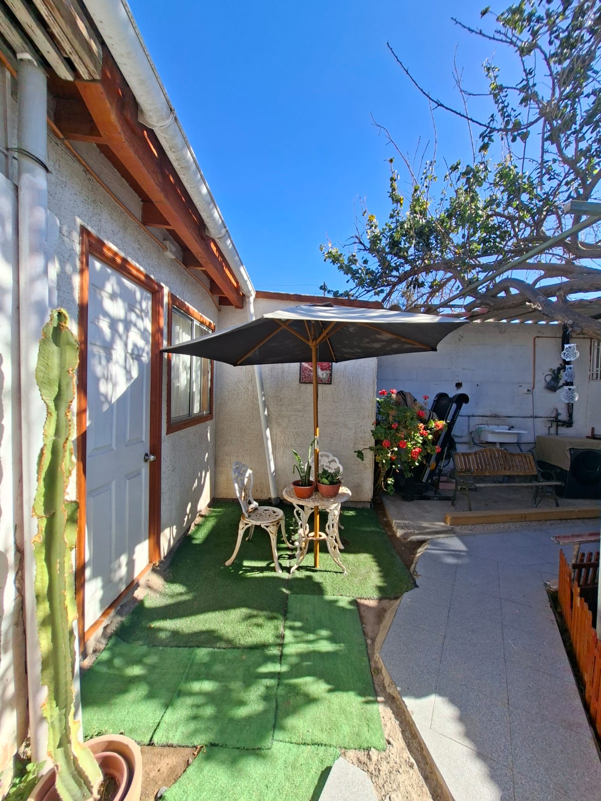 Jardín